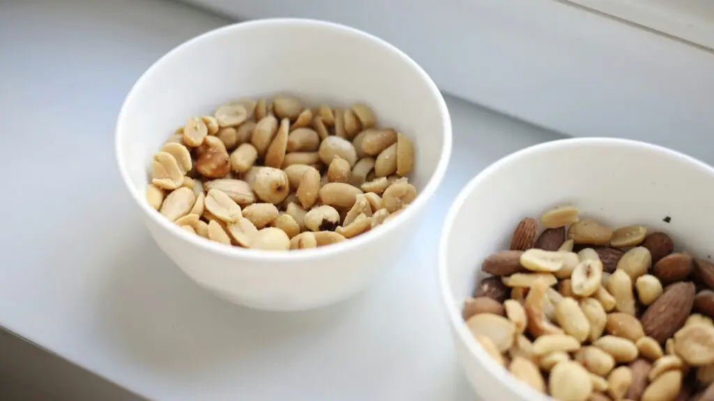 Pet Nutrition 101: What Should Your Pet Really Be Eating Pet Nutrition 101-3