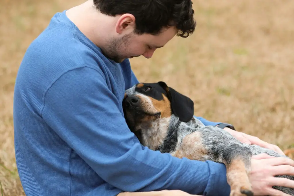 Pet Nutrition 101: What Should Your Pet Really Be Eating Pet Nutrition 101-6