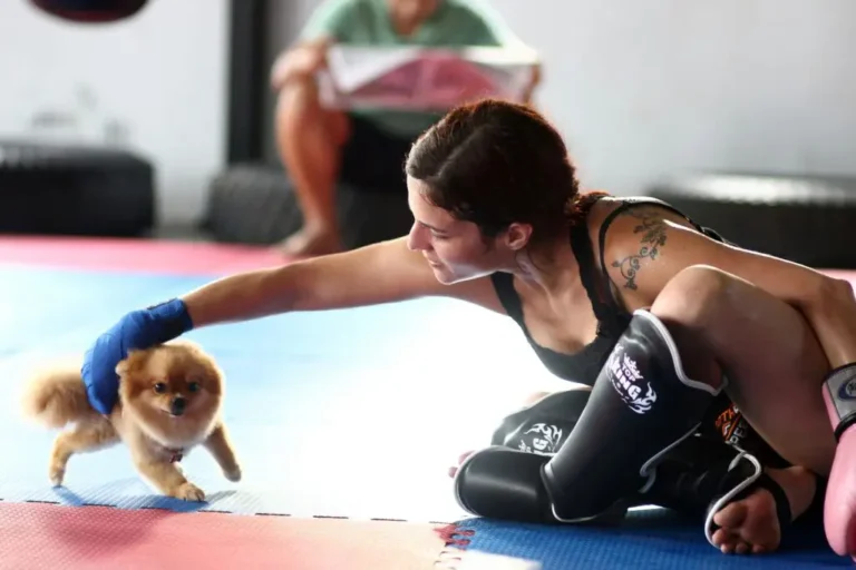 Train Your Dog at Home