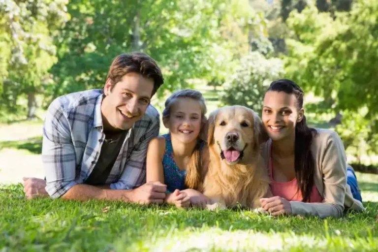 Blogs Best Dog Breeds for Families in the USA