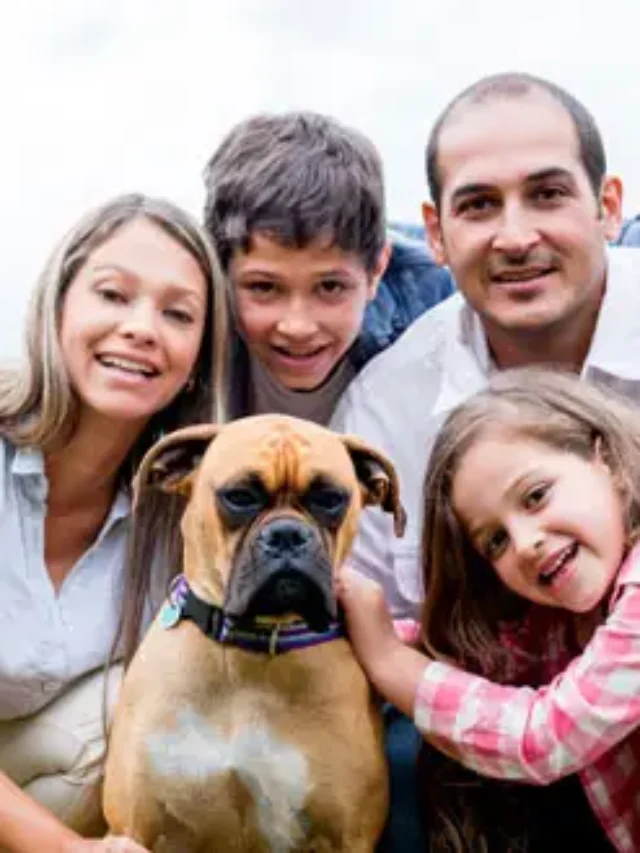 Best Family Dogs