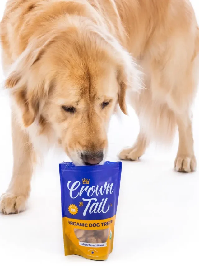 Organic Dog Food Brands