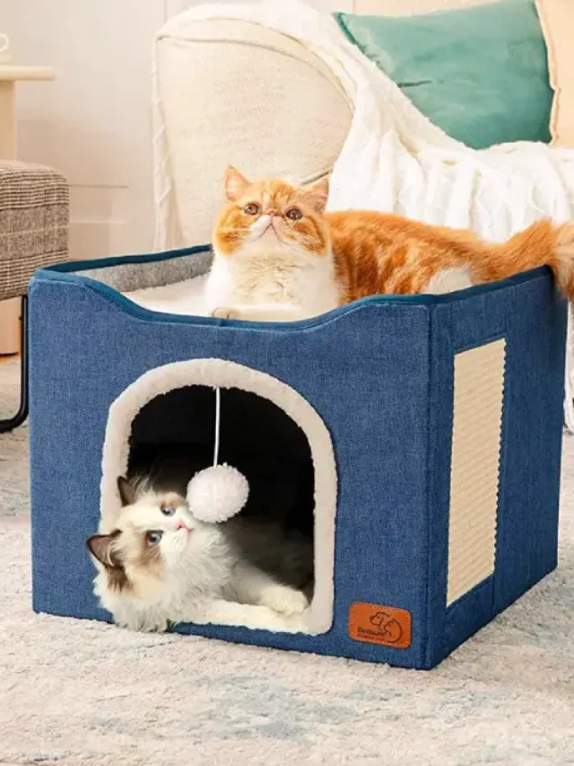 cat house