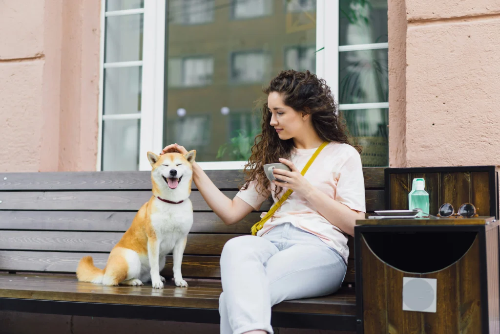 Sit, Stay, Come- Train Your Dog the Smart Way with These Simple Tips Sit practice