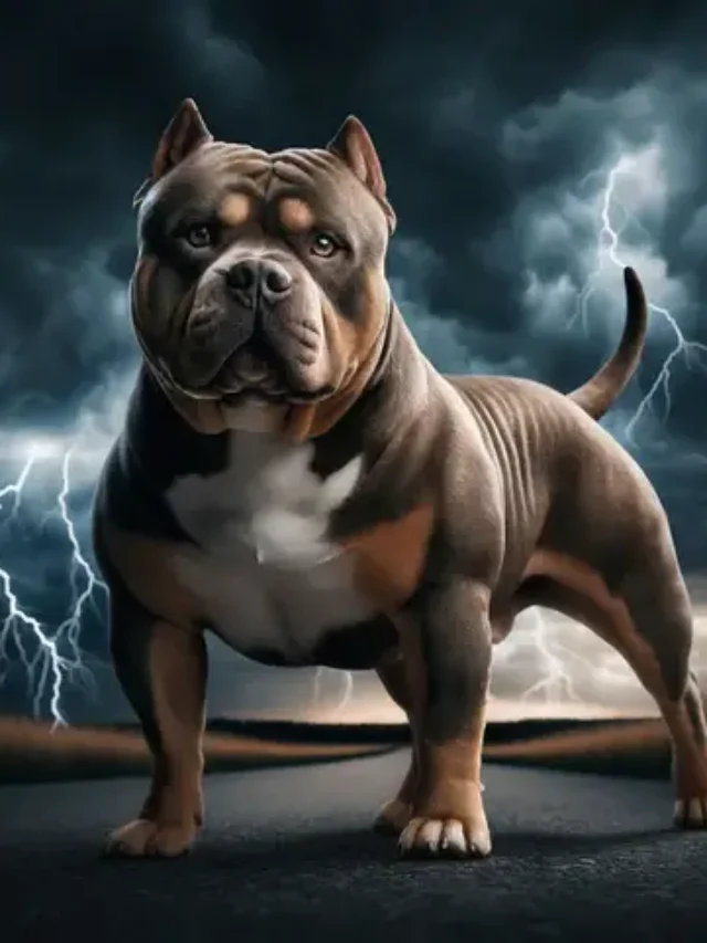 Top 10 Bully Breeds That Rule the USA