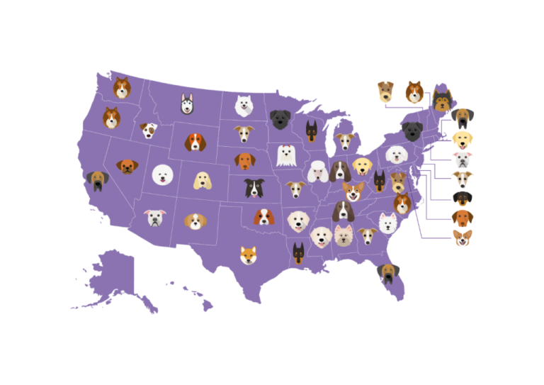 The Most Popular Dog Breeds in Every U.S. State