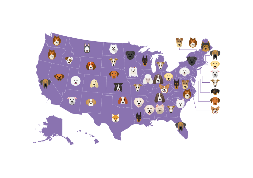 The Most Popular Dog Breeds in Every U.S. State