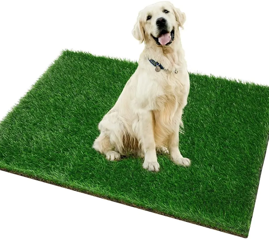 puppy indoor potty training pee pad