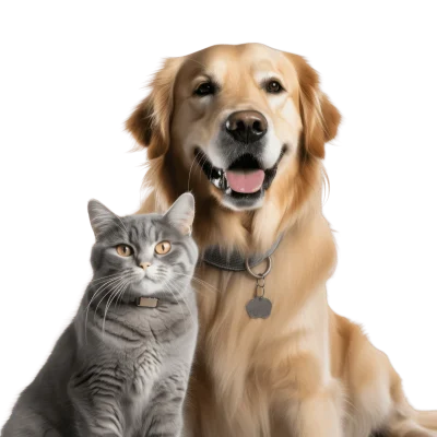 Pet Kairo Cover Image